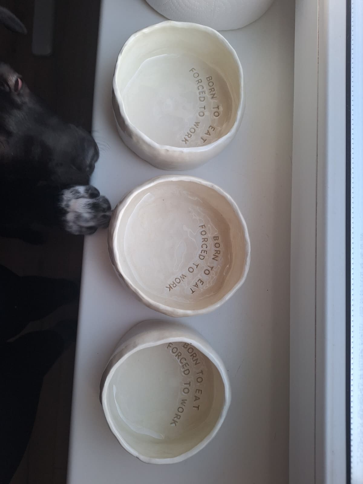 WhatsApp Image 2026-02-17 at 12.27.16.jpeg